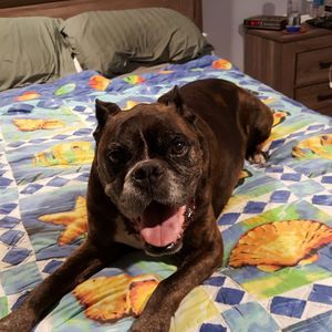 Meet your Posher, Patti